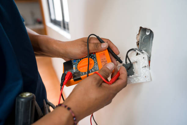 Best Electrician for Home Renovation  in Varnville, SC