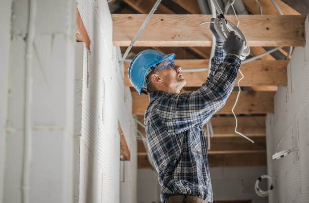 Best Electrical System Inspection  in Varnville, SC