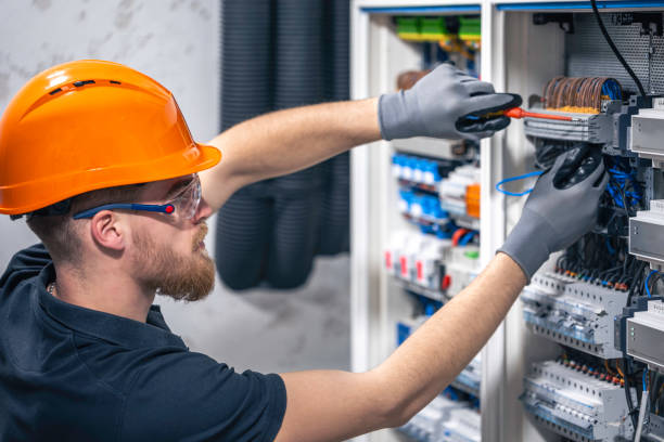 Best Electric Panel Repair  in Varnville, SC