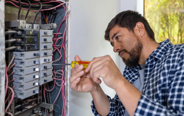 Best Residential Electrician Services  in Varnville, SC